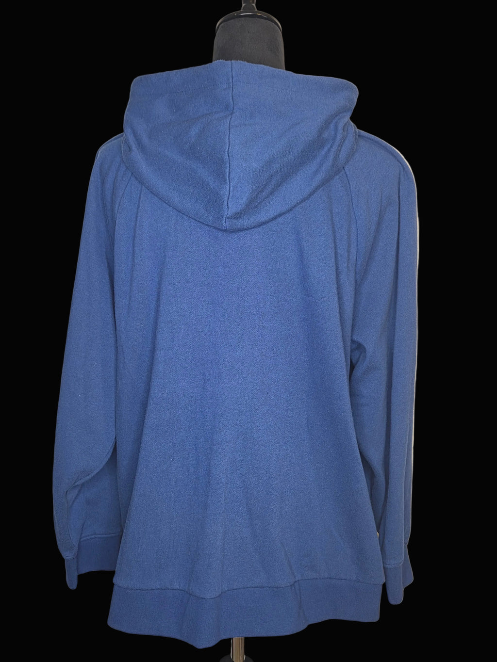 TERRA & SKY HOODIE SIZE 1X