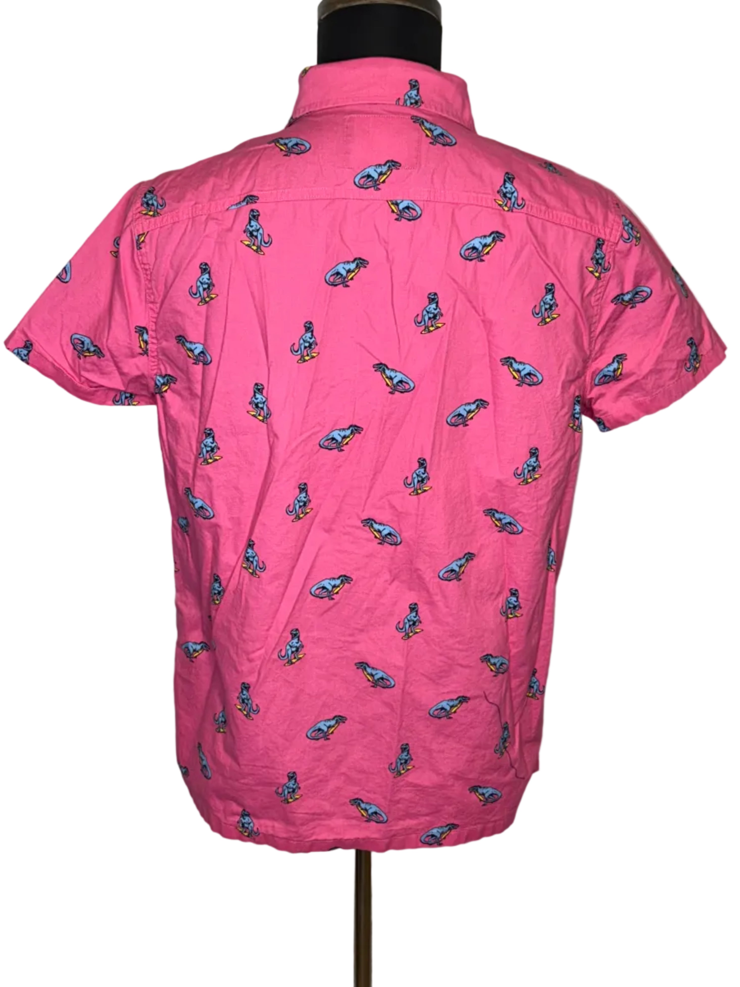 HOLLISTER MEN'S SHIRT SIZE MEDIUM